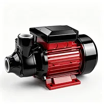 PM Clean Water Pump